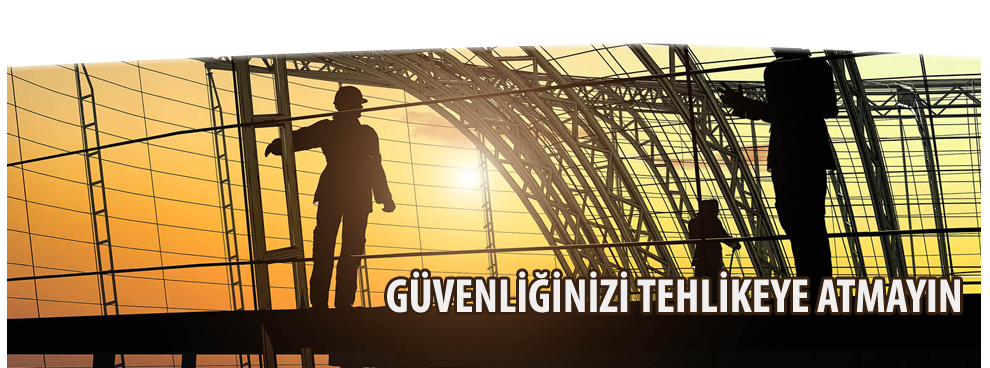 Security Lion Security Lion