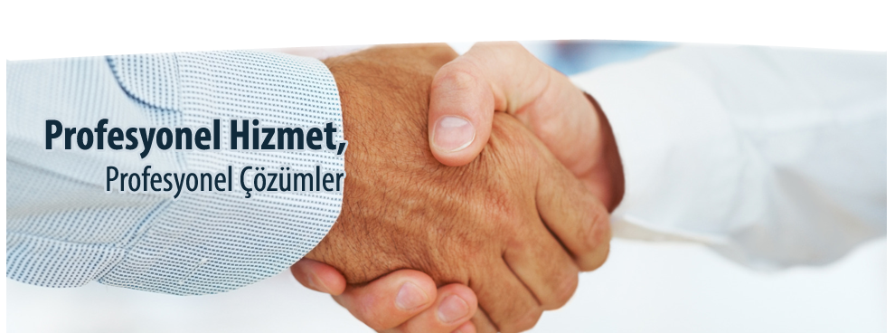 Security Lion Security Lion